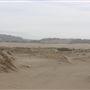 MacKerricher State Park (SP) - Inglenook Ten Mile Preserve - northern stretch - aka Ten Mile Dunes