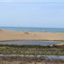 MacKerricher State Park (SP) - Inglenook Ten Mile Preserve - northern stretch - aka Ten Mile Dunes