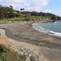 Van Damme State Park (SP) / Beach / Pygmy Forest / Fern Canyon Trail / Spring Ranch Trail