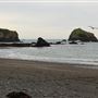 Van Damme State Park (SP) / Beach / Pygmy Forest / Fern Canyon Trail / Spring Ranch Trail
