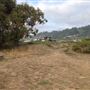 Westport Headlands
