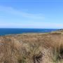 Navarro Point Preserve and Coastal Trail