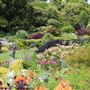 Mendocino Coast Botanical Gardens
