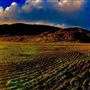 Rancho Grande