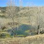 Firestone Pond