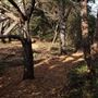 Mendocino Bay Overlook (Public Access Easement)