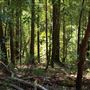 Faulkner County Park