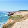 Van Damme State Park (SP) / Beach / Pygmy Forest / Fern Canyon Trail / Spring Ranch Trail