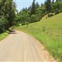 Peachland Road
