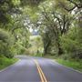 Highway 128 - Yorkville corridor