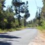 Little Lake Road