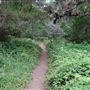 Jug Handle State Natural Reserve (SNR)
