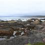 Boardwalk at Laguna Point @ (MacKerricher State Park)