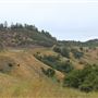 Boonville-Ukiah Road - Highway 253