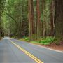 Navarro River Redwoods State Park (SP)