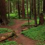Navarro River Redwoods State Park (SP)