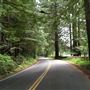 Comptche-Ukiah Road (eastward from Comptche) / aka Orr Springs Road