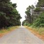 Haul Road Coastal Trail (MacKerricher State Park)