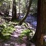 Alliance Redwoods Conference Grounds