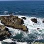 Bodega Bay Coast