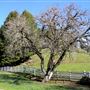 Browder Ranch