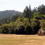 Casini Ranch Family Campground