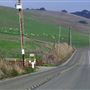Chileno Valley Road