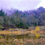 Cinnabar Ranch