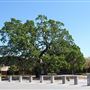 Finley Community Park