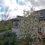 Jack London State Historic Park (SHP)