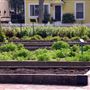 Luther Burbank Home & Gardens