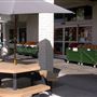 Molsberry Market