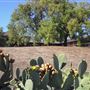 Petaluma Adobe State Historic Park (SHP)