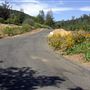 Raymond Burr Vineyards - Deer Creek Valley