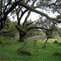 Tom Scott Ranch