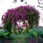 The Russian River Rose Company