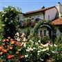 The Russian River Rose Company