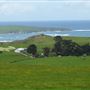 Tomales Rd