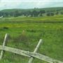 Tomales Rd