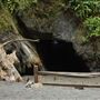 Little River Blowhole Trail