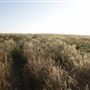 Navarro Point Preserve and Coastal Trail