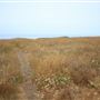 Pomo Bluffs Park