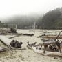 Big River Beach @ Menodocino Headlands State Park  (SP)