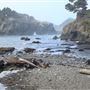 Buckhorn Cove