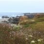 MacKerricher State Park (SP)