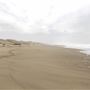MacKerricher State Park (SP)