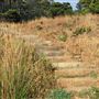 Belinda Point Public Access Trail