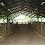 Mendocino County Fair and Apple Show