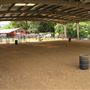 Mendocino County Fair and Apple Show