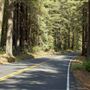 Highway 20 - Fort Bragg-Willits Rd.
